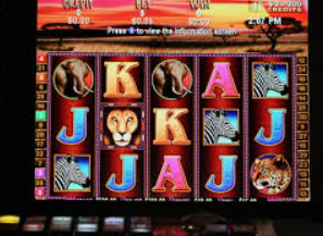 新普京com正式版