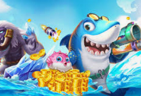 新普京com2024最新版