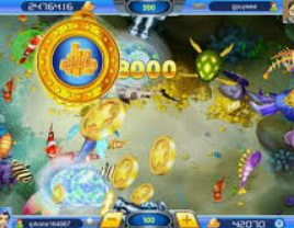 新普京com正式版