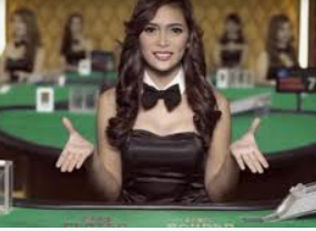 新普京com手机版